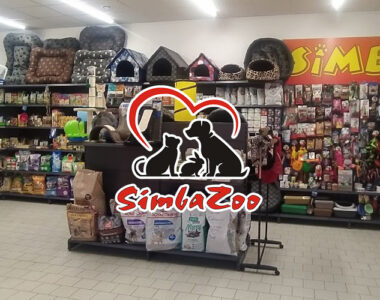 SimbaZoo – nowa aplikacja lojalnościowa od LoyaltyClub